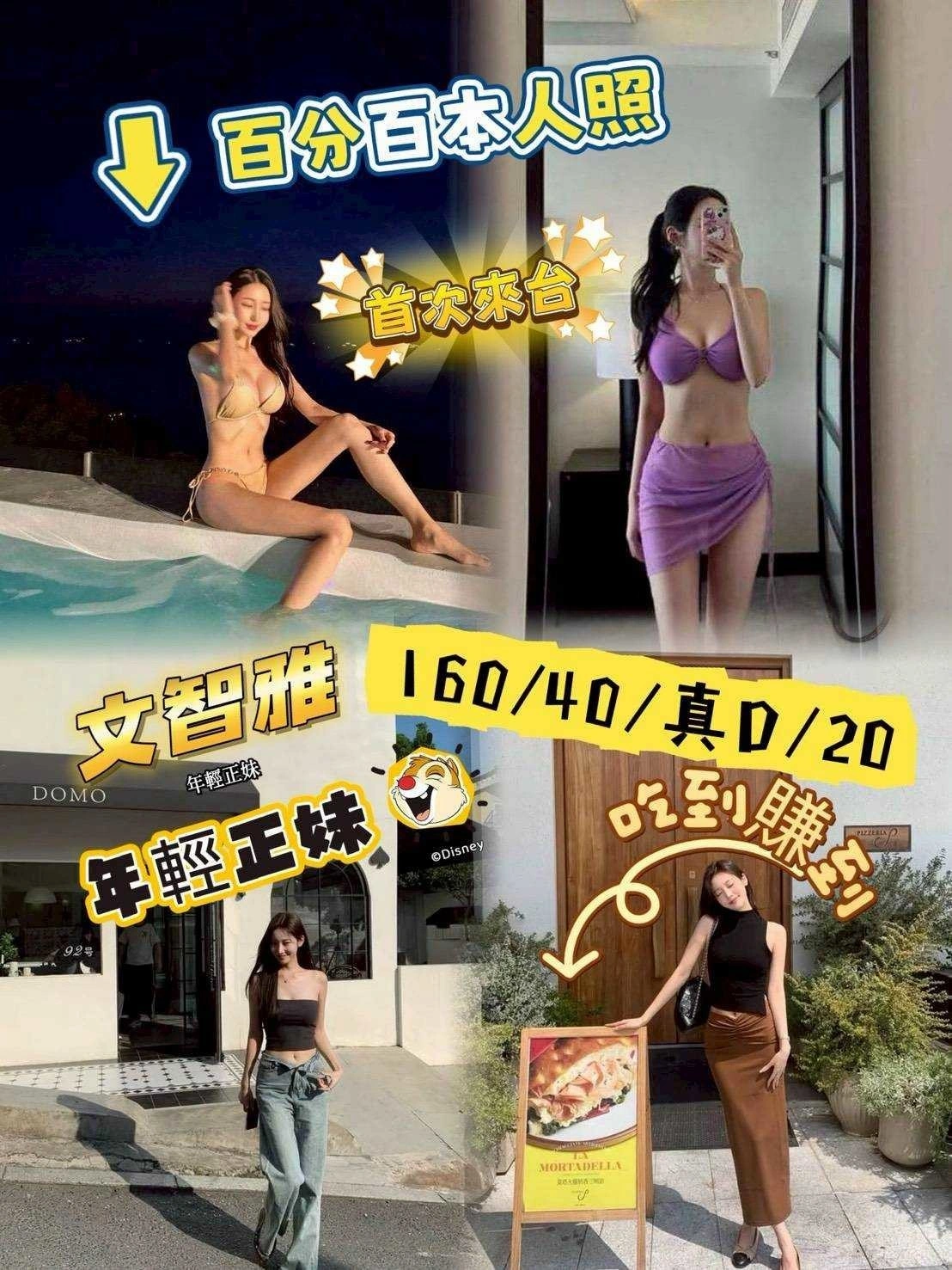 台中定點茶-文智雅/160/40/20/D