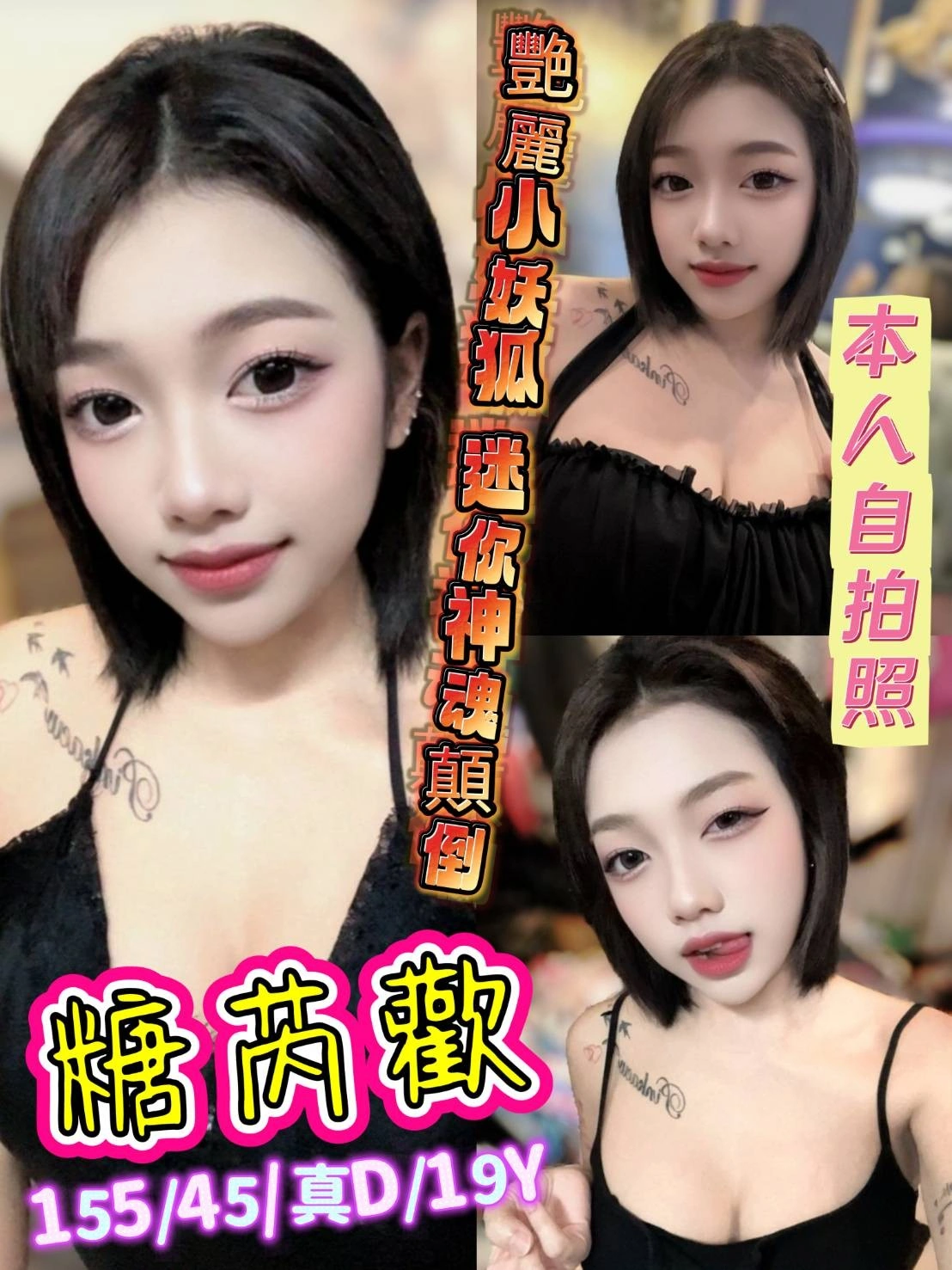 新北定點茶-糖芮歡/155/45/19/D