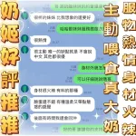 台中定點茶-奶姬/160/48/?/E