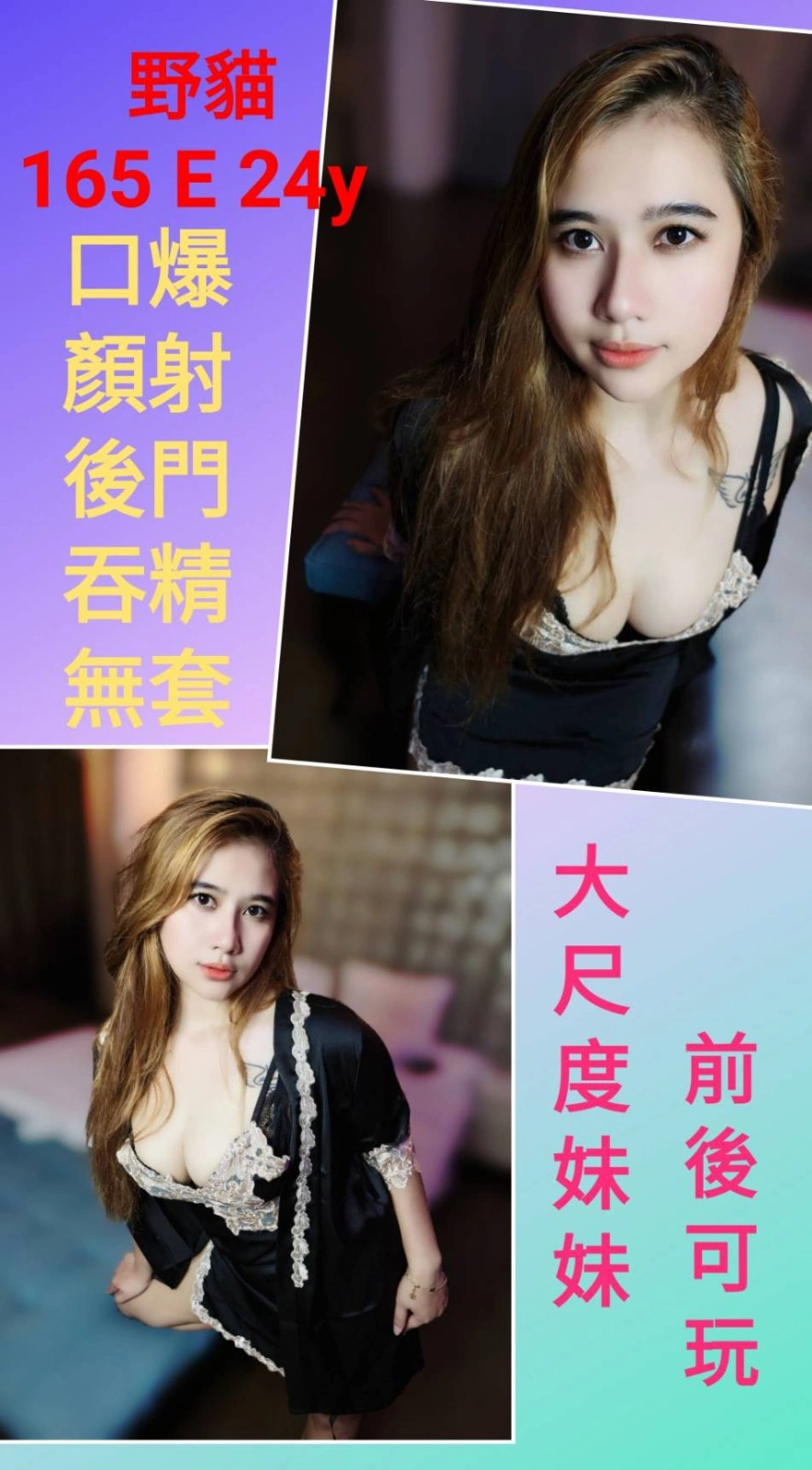 新北定點茶-野貓/165/?/24/E