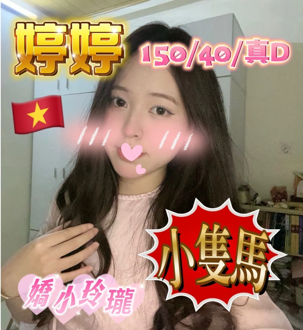 台中定點茶-婷婷/150/40/26/D