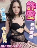 南投定點茶-許蜜/156/43/20/E