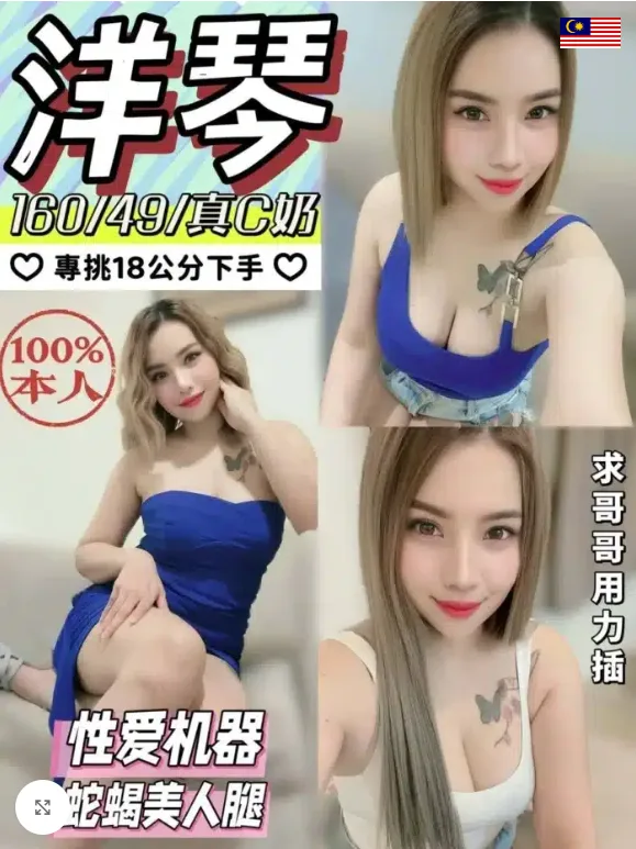 洋琴